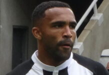 callum wilson playing for newcastle united