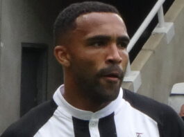 callum wilson playing for newcastle united