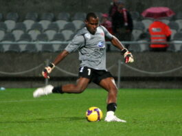 vincent enyeama