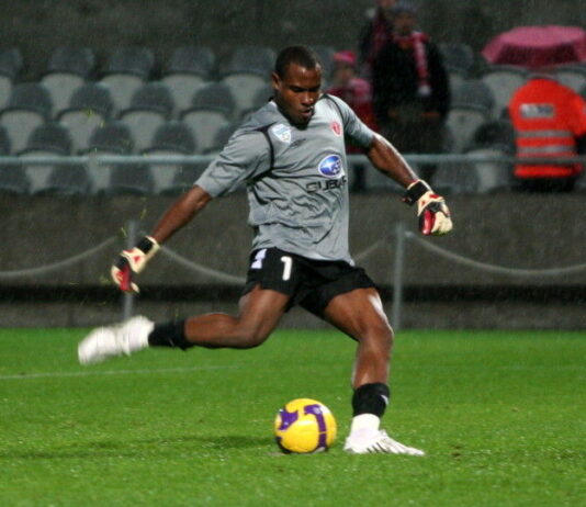 vincent enyeama