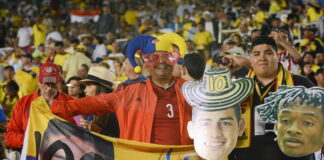 south american football fans