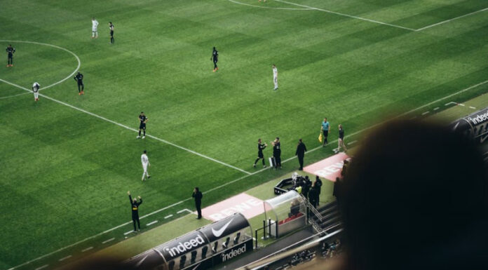Soccer Field From Above